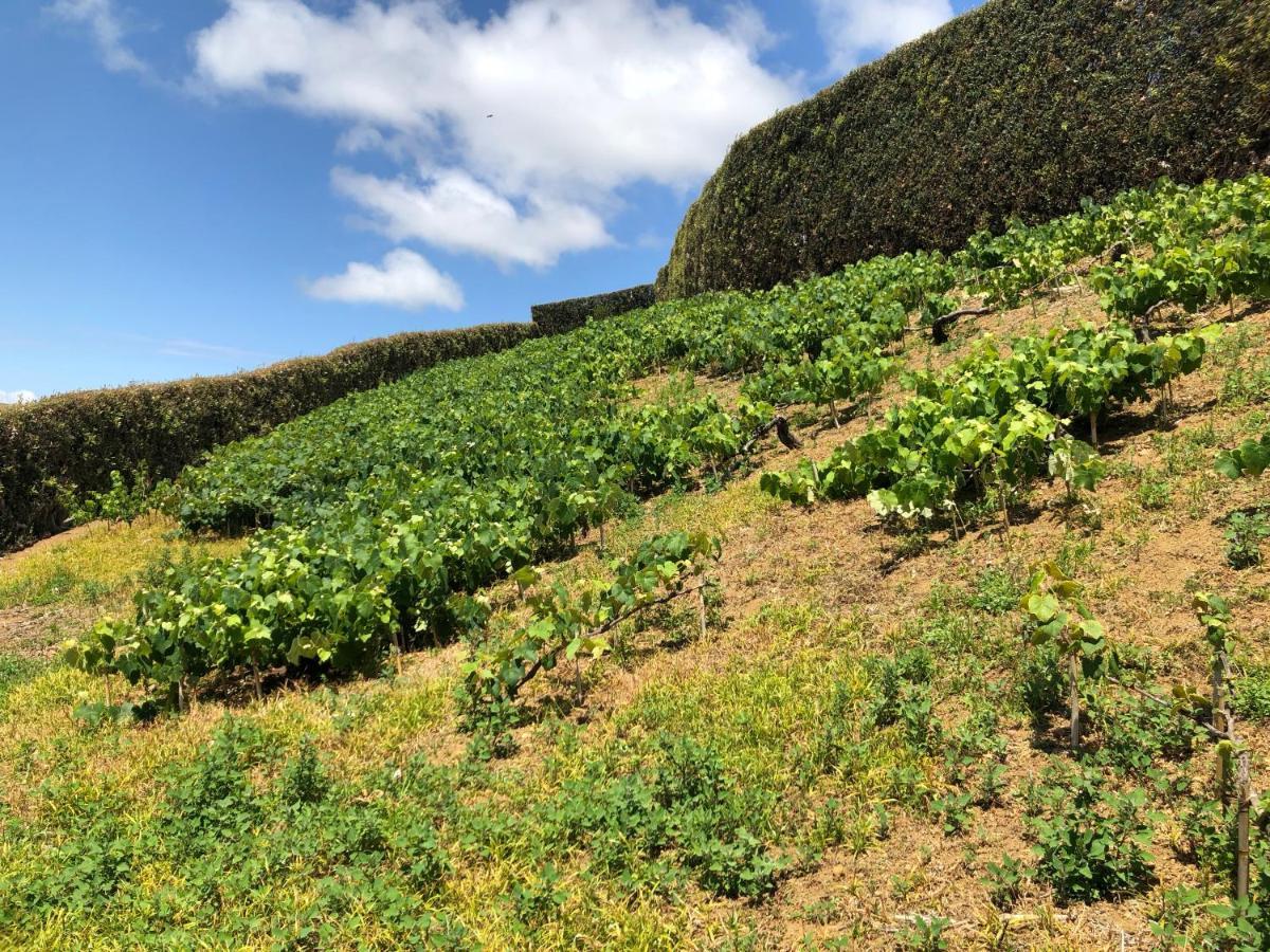 Вілла Quinta Do Pico Понта-Делгада Екстер'єр фото